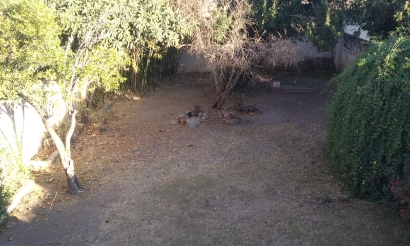 WhatsApp Image 2022-08-30 at 2.11.11 PM (2)