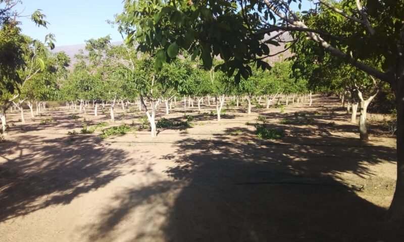 9dfeeff5-97c4-4cef-9506-77967f6c8d92 9dfeeff5-97c4-4cef-9506-77967f6c8d92