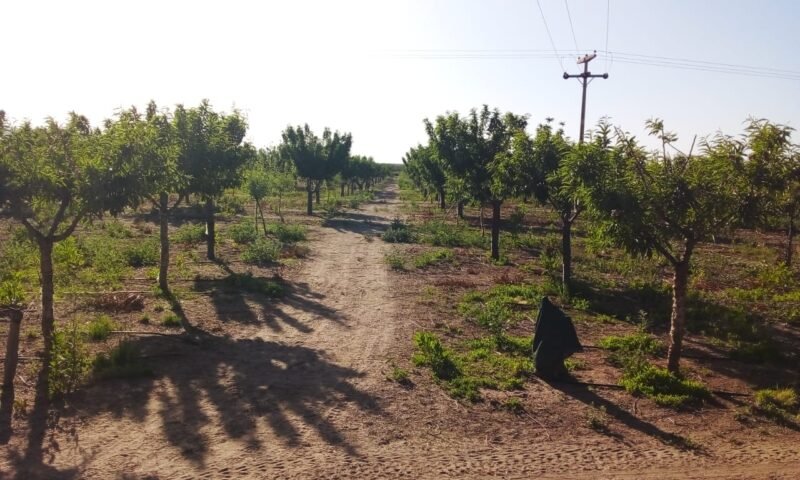 b4b0cbad-65bf-4748-9b85-8a498c858d4f b4b0cbad-65bf-4748-9b85-8a498c858d4f