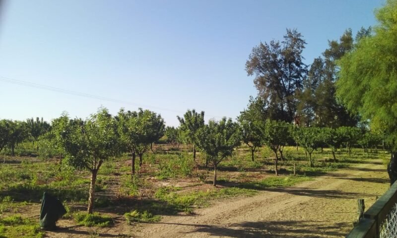 cf6818fd-e2c0-4f67-9511-ac9eca079000 cf6818fd-e2c0-4f67-9511-ac9eca079000