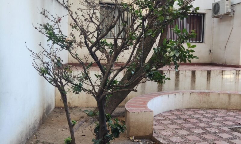 IMG_20250604_101732444 IMG_20250604_101732444